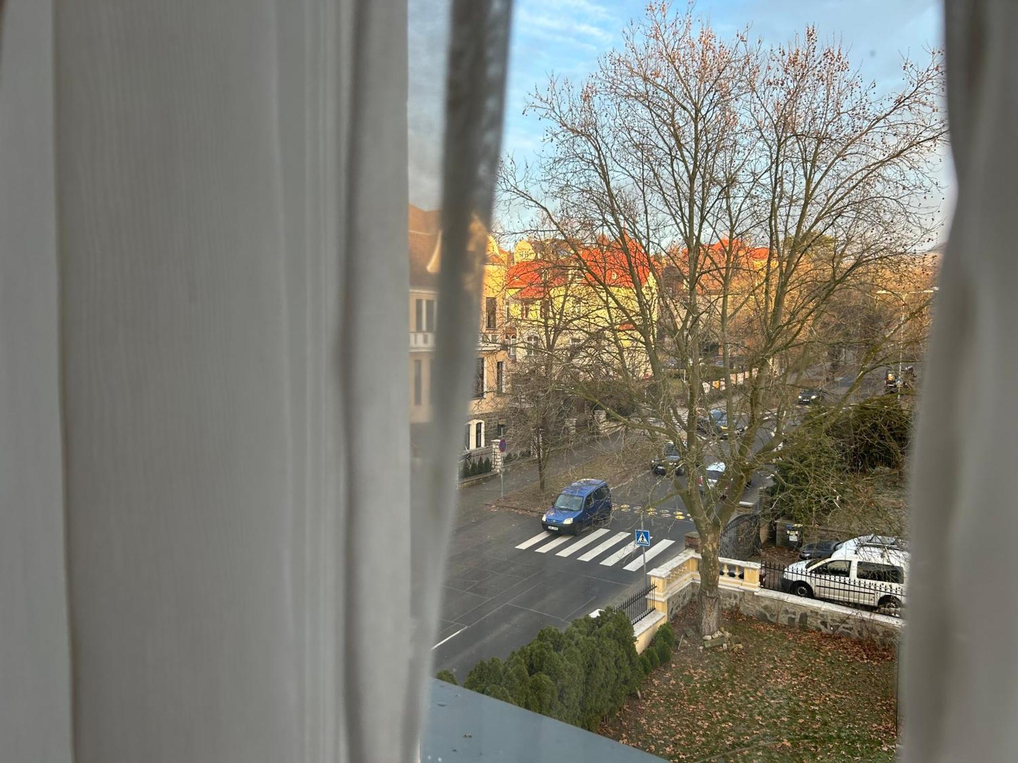 Apartment Salve *